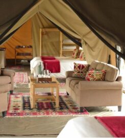 OL PEJETA BUSH CAMP NANYUKI