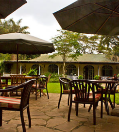 TAMARIND BRASSERIE