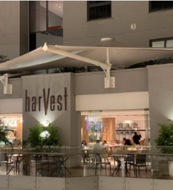 HARVEST RESTAURANT