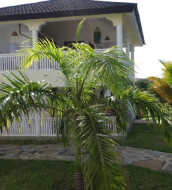 MORNING STAR DIANI