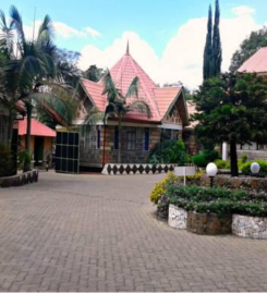 NURU PALACE HOTEL