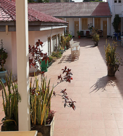NEW PALM TREE HOTEL