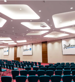 RADISSON BLU HOTEL