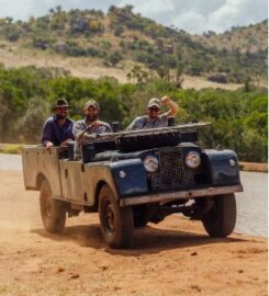 THE SAFARI SERIES