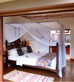 NEPTUNE PALM BEACH BOUTIQUE RESORT & SPA