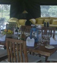 PORINI RHINO CAMP