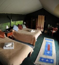 PORINI RHINO CAMP