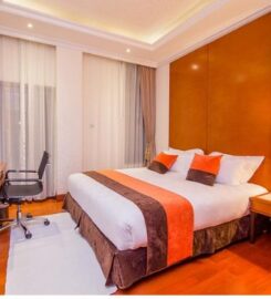 ALBA HOTEL MERU