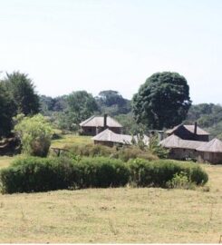 CASTLE FOREST LODGE