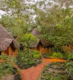 DISTANT RELATIVES ECOLODGE & BACKPACKERS