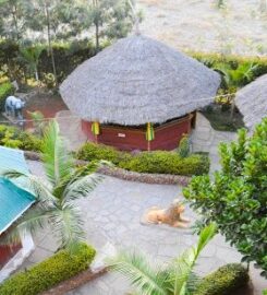 PINE BREEZE GETAWAY LUKENYA
