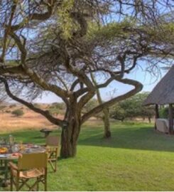 ELEWANA KIFARU HOUSE