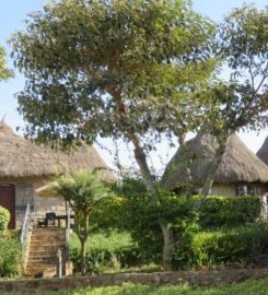 NYATI HILL COTTAGES