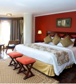 TREETOPS LODGE
