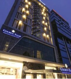 GOLDEN TULIP