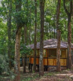 AFRIKANA YARD COTTAGES