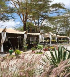 SWARA ACACIA LODGE