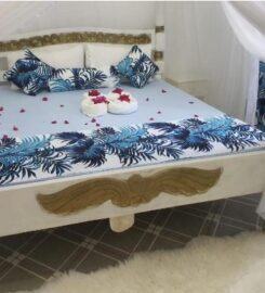 NYUMBA TULIVU