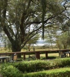JACARANDA LAKE ELEMENTAITA LODGE